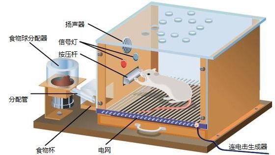 零食店的產(chǎn)品營(yíng)銷策略需注重零食的本質(zhì)?